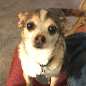 Meet your Posher, Neil